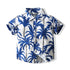 Boy's Coconut Fashion Beach Wind Short Sleeve Set